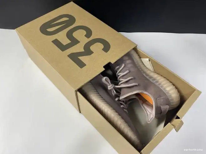 V2 350 Yeezy Boost Mist Adidas Mono GW2871 0503